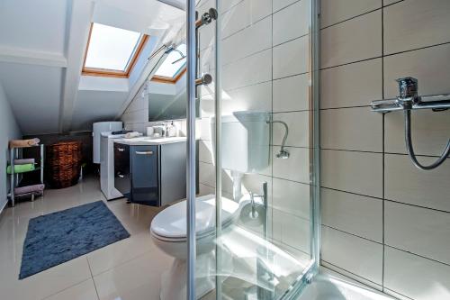 a bathroom with a toilet and a glass shower at Apartment The Loft in Rovinj