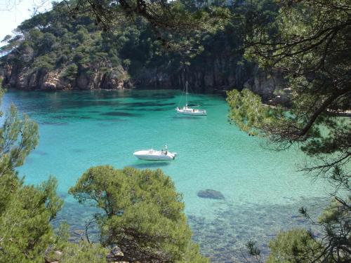 two boats in a large body of water with trees at L'Aixart Aiguablava Hotel in Begur