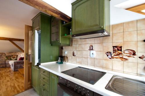 a kitchen with green cabinets and a sink at Apartma Star by Jary in Český Krumlov