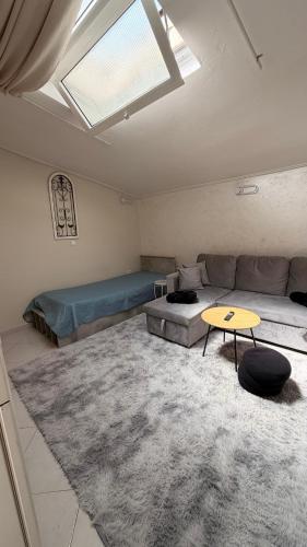 cozy minimal apartment
