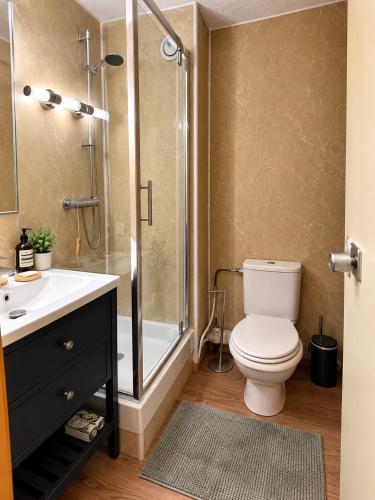 Duplex 7pers Belle Plagne ski aux pied 2chambres