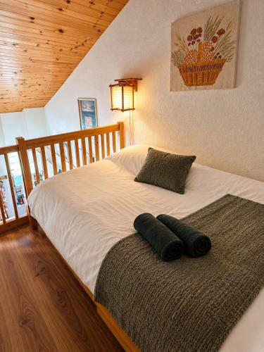 Duplex 7pers Belle Plagne ski aux pied 2chambres
