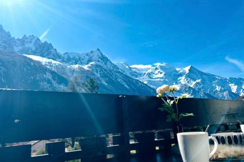 Charming apartment in Chamonix