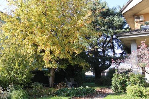 a tree in a yard next to a house at Il Giardino in Trenzano