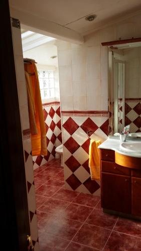 a bathroom with a sink and a mirror at Casa Rural Caserío el Molín in La Caridad