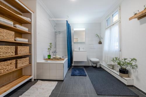 CK Apartments Sankt Georgen - Wohnen und Mamas helfen
