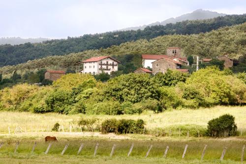a village on a hill with a horse in a field at Hotel Akerreta in Akerreta