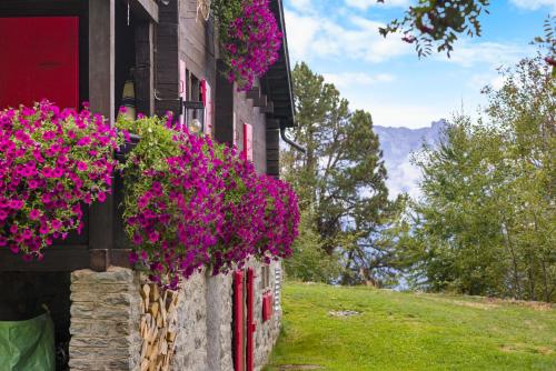 Chalet Laetitia - 8 pers - charme et authenticite