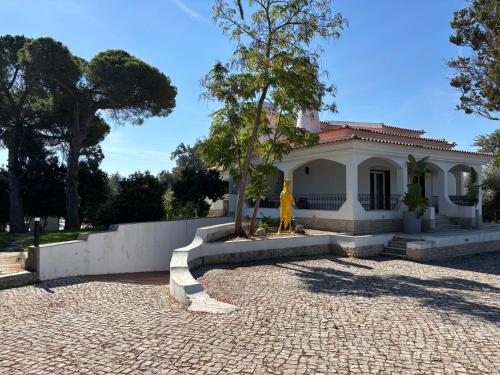 Portuguese Luxury Villa