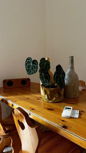 A casa di nonna Iolanda