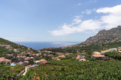 Saraiva Hills II by an island apart