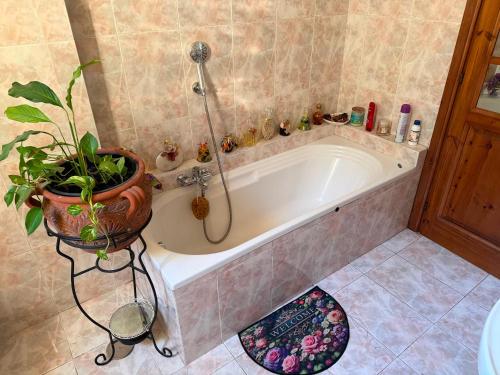 Due per San Lo - Tourist rental