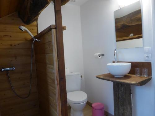 łazienka z toaletą i umywalką w obiekcie B&B Bouton D'Or La Bouriotte w mieście Labastide-Rouairoux