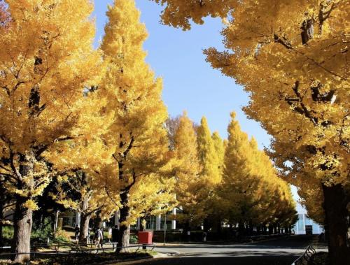 -ベルメゾン目黒- 渋谷駅まで7分!学芸大学駅まで徒歩10分!新宿-池袋-浅草乗り換え1回!ファミリー滞在