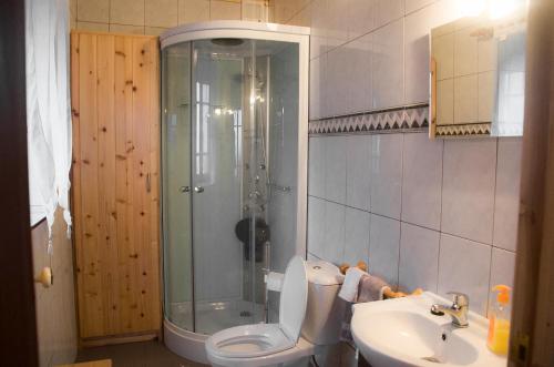 een badkamer met een douche, een toilet en een wastafel bij Stone Dreams - Adega in Calheta de Nesquim