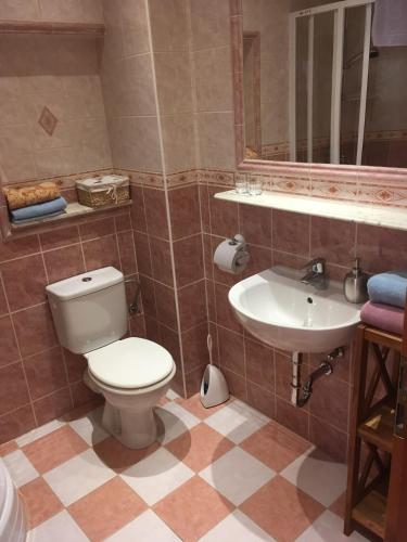 a bathroom with a toilet and a sink at Pension & Restaurant Atmosféra in Loket