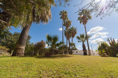 a park with palm trees on a sunny day at Appartamenti DueC in Trapani