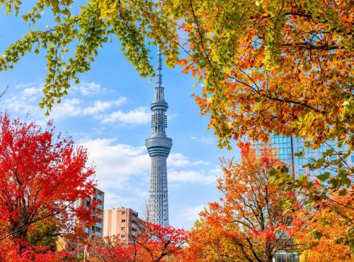 -Blue Sky 3F- Within walking distance of Asakusa