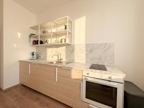 Newly renovated city apartment, near Schönbrunn - T19