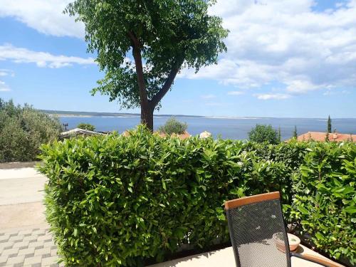 Studio near Beach in Starigrad-Paklenica 58091