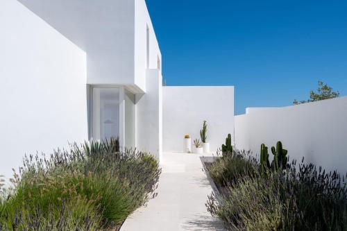 Greek Charisma Estate
