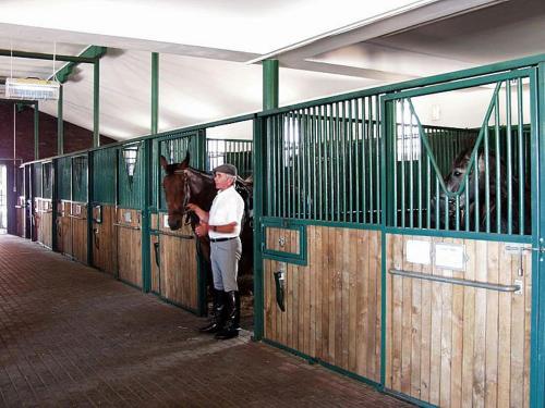 a man standing next to a horse in a stall at Pensjonat i Klub Jeździecki Michelin in Włocławek