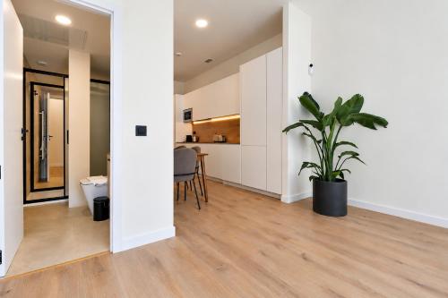 Madrid Executive Loft