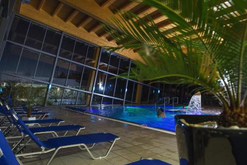 a hotel swimming pool with chairs and a palm tree at Hotel SOREA TRIGAN in Štrbské Pleso