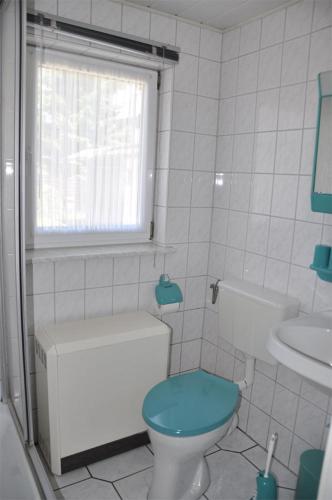 BenzにあるFerienhaus Benz USE 1641のバスルーム(青いトイレ、シンク付)