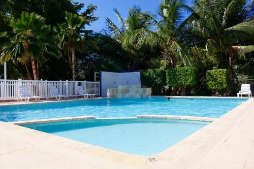 a large swimming pool with palm trees in the background at Combate Beach Resort in Cabo Rojo