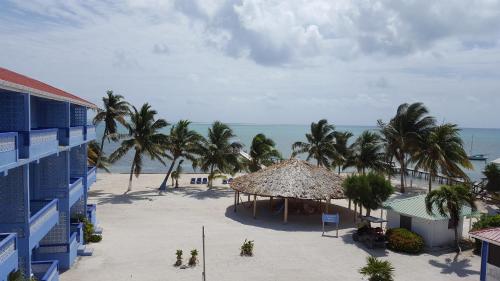 a view of a beach with palm trees and a building at Anchorage Beach Resort Caye Caulker in Caye Caulker