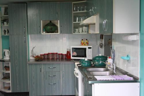 Ett kök eller pentry på Stasio Balseviciaus Homestead