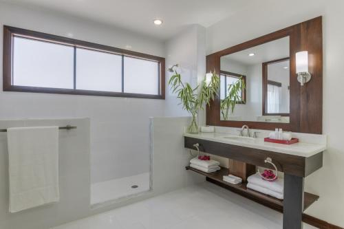 ein Bad mit einem Waschbecken, einer Dusche und einem Spiegel in der Unterkunft The Ellysian Boutique Hotel in Placencia Village