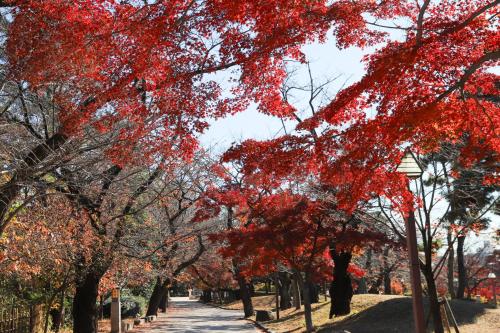 A 15-minute walk from the station direct service to Shinjuku, Shibuya, and Ueno stations神谷戸建