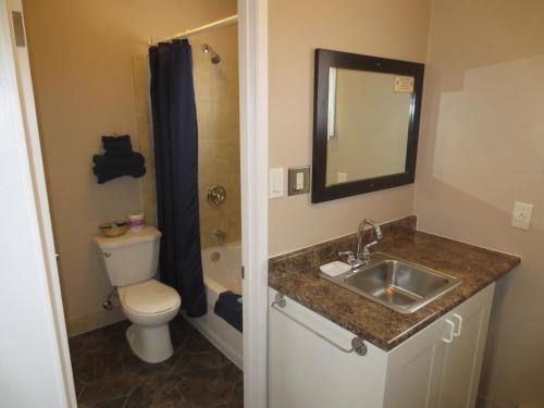 a bathroom with a sink and a toilet and a mirror at Overlander Motel in Chase