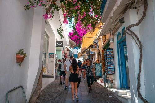 Fira Downtown Apartment