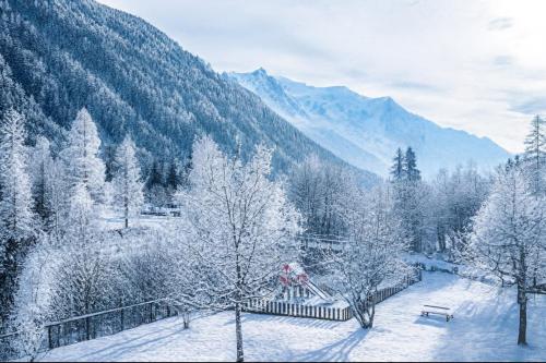 Bel Apt Near The Slopes Argentiere