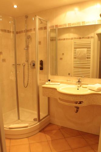 A bathroom at Hotel Blauer Wolf
