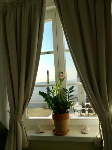 a window with a plant on a window sill with a lighthouse at Liszkay Borkúria in Monoszló
