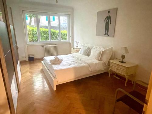 Beautiful and spacious apartment in Down town