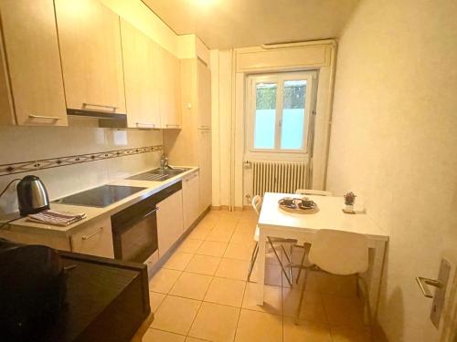 Beautiful and spacious apartment in Down town