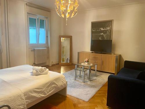 Beautiful and spacious apartment in Down town