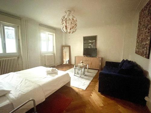 Beautiful and spacious apartment in Down town