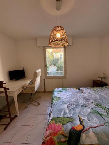 Centre ville, Appartement cosy et parking privé