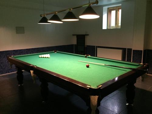 a pool table with two balls in a room at Motel Prival in Yelets