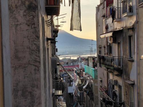 Casa Dora Apartment in Naples Hystorical city center