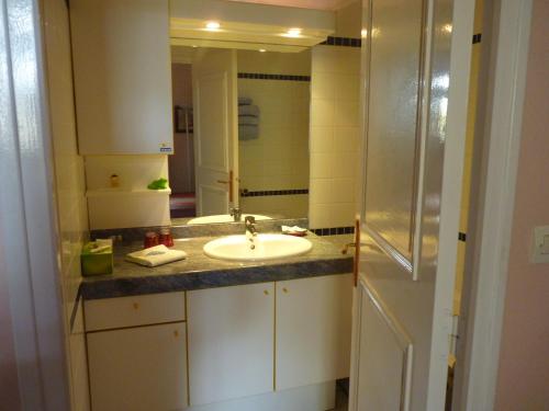 a bathroom with a sink and a mirror at LOGIS du Château du Bois Doucet in Bignoux