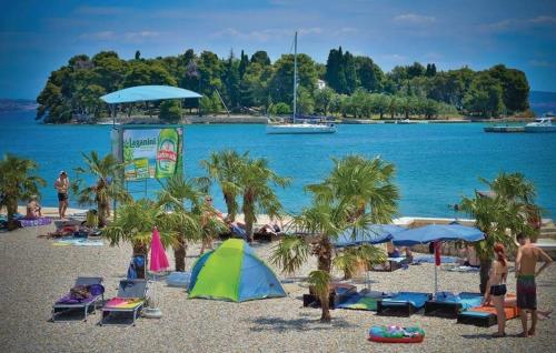 a beach with people and palm trees and a body of water at Apartments Lena in Sutomišćica