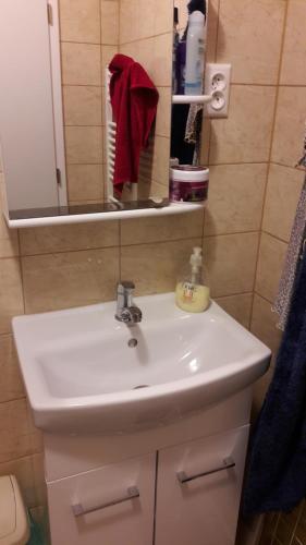 a bathroom with a white sink and a mirror at Apartman YVET in Sučany