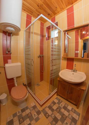 a bathroom with a shower and a toilet and a sink at Hauszmann Vendégház in Palotabozsok